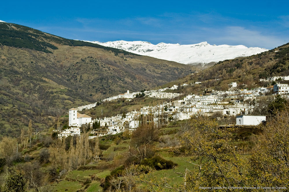 a close up of a hillside next to a mountain